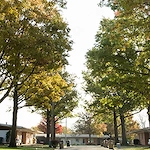 Schowalter Villa street view