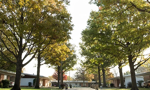 Schowalter Villa street view