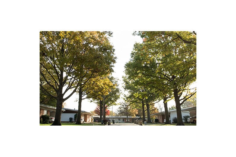 Image of Schowalter Villa (5)