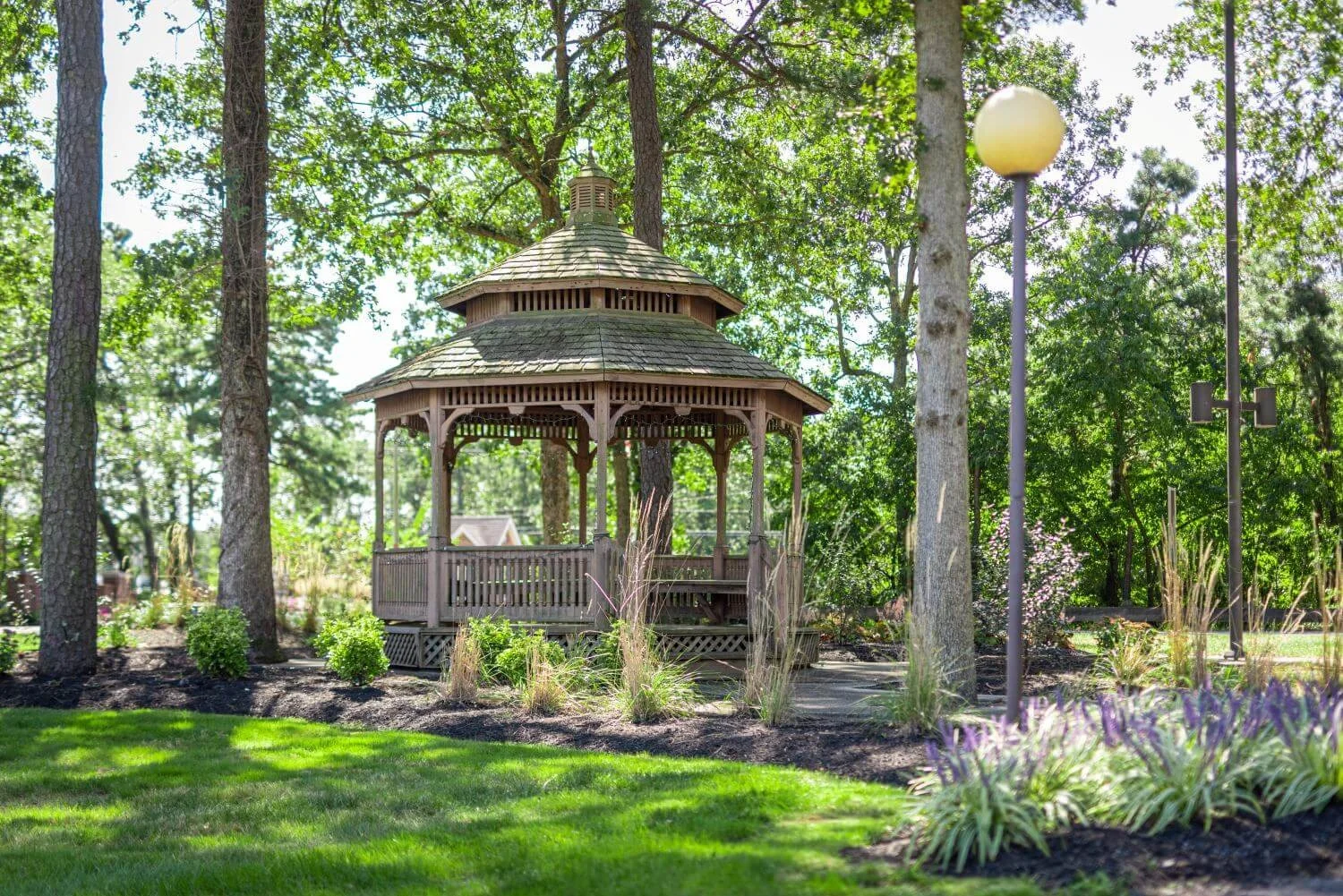 Image of Silverwoods (5)