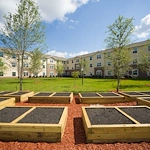 Image of Peyton Ridge Apartments (9)