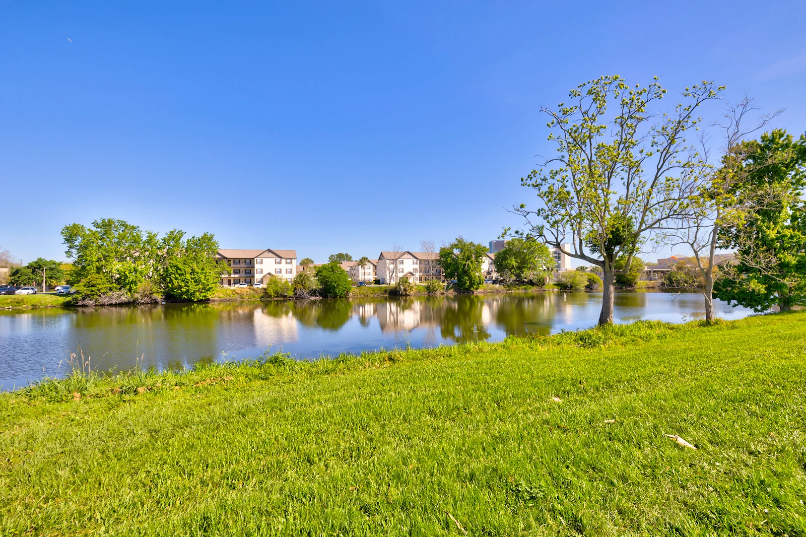 Image of Terrace Of Kissimmee, The (10)