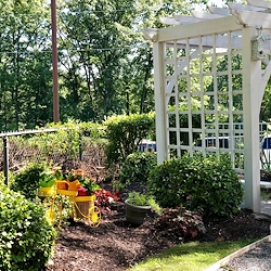 Image of Adviniacare Oakland Grove LLC (3)