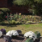 Image of The Homestead of Denison (3)