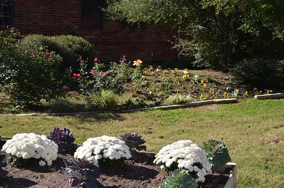 Image of The Homestead of Denison (3)