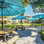 Image of Truewood by Merrill, Fig Garden (10)