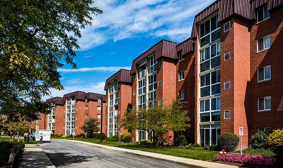 Image of The Village (2)