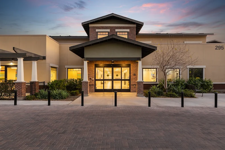 Image of Silver Birch of Avondale (1)