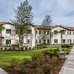 Image of Starling at San Jose (3)