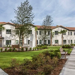 Image of Starling at San Jose (3)