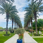 Image of The Colonnade Independent Living (4)