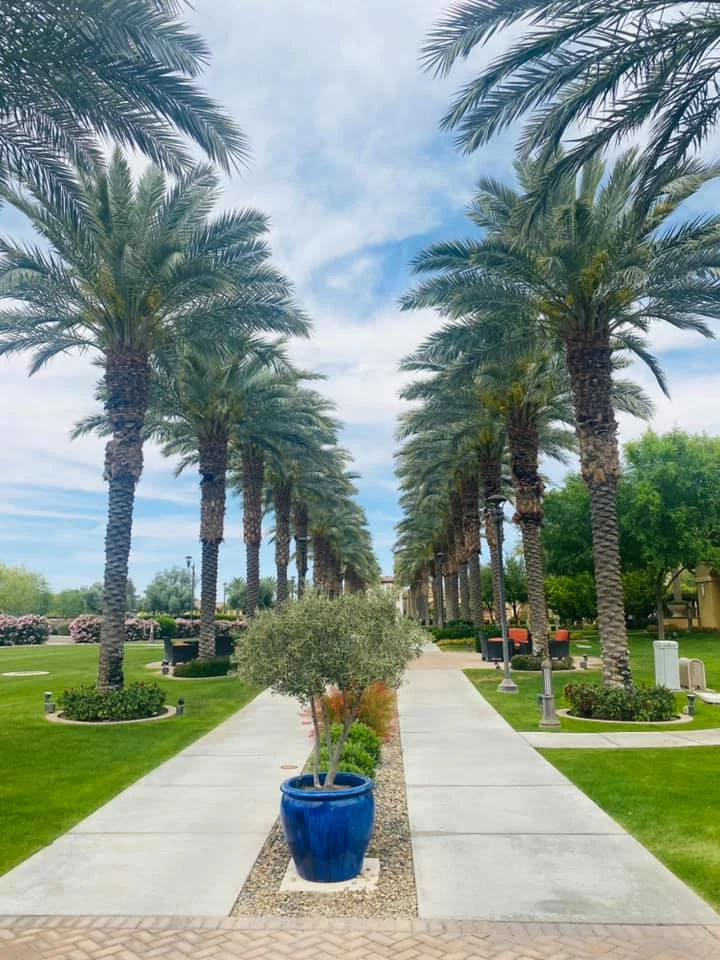 Image of The Colonnade Independent Living (4)
