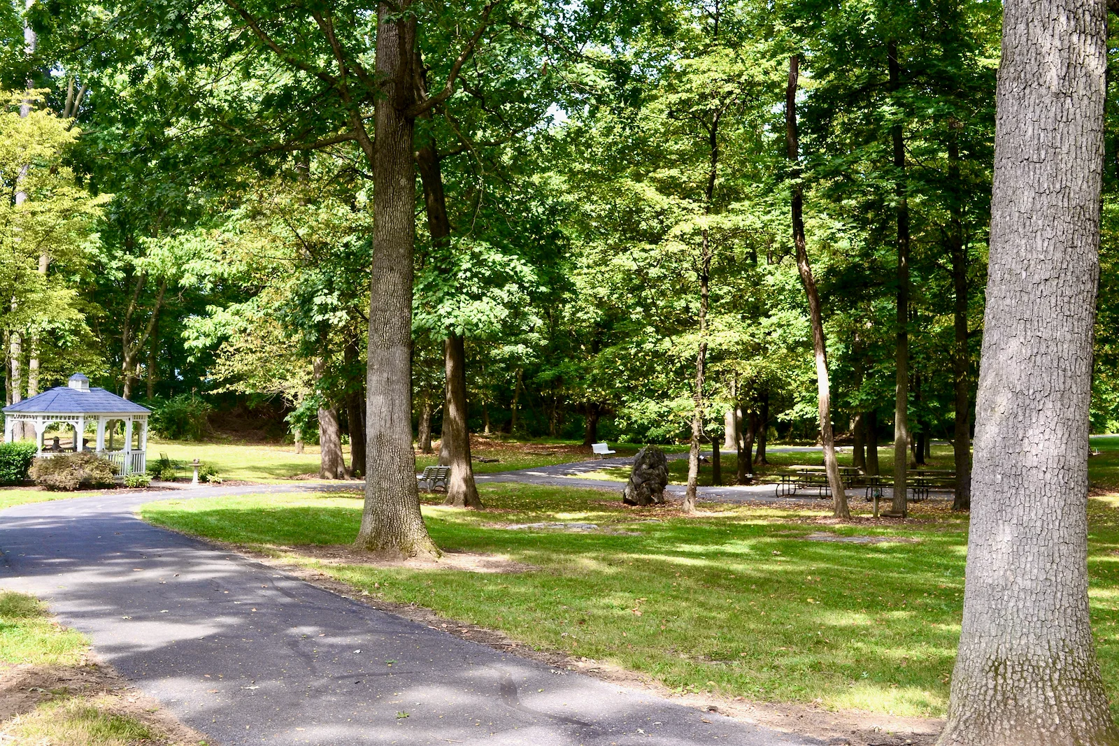 Image of Providence Place Senior Living of Chambersburg (4)