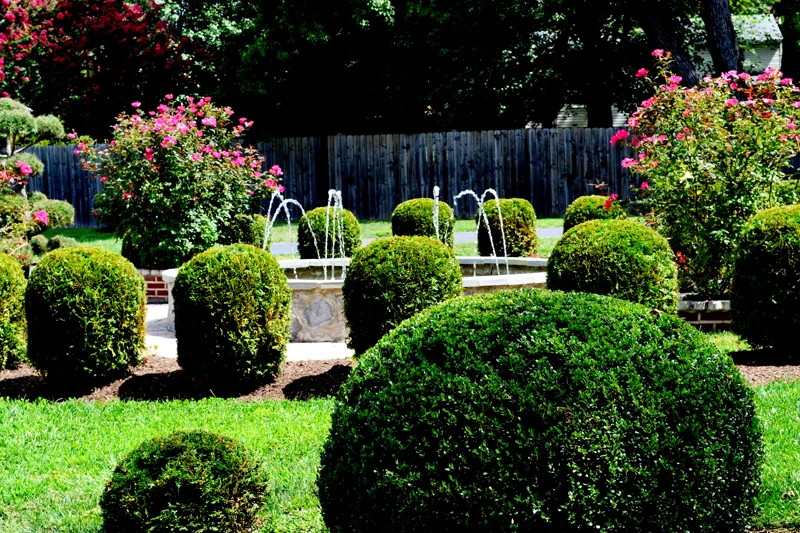 Image of Vienna Manor I (2)