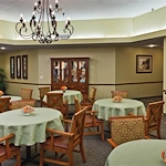 Image of Palma Real (7)