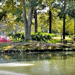 Image of Courtyard Assisted Living (2)