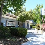 Image of Carlton Concord (1)