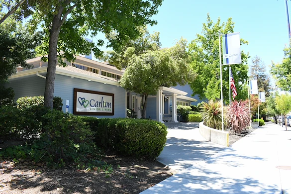 Image of Carlton Concord (1)