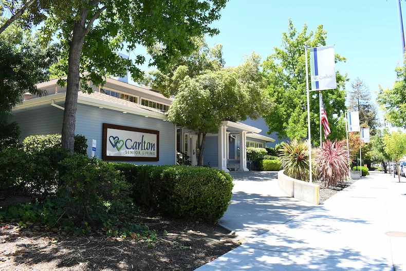 Image of Carlton Concord (1)