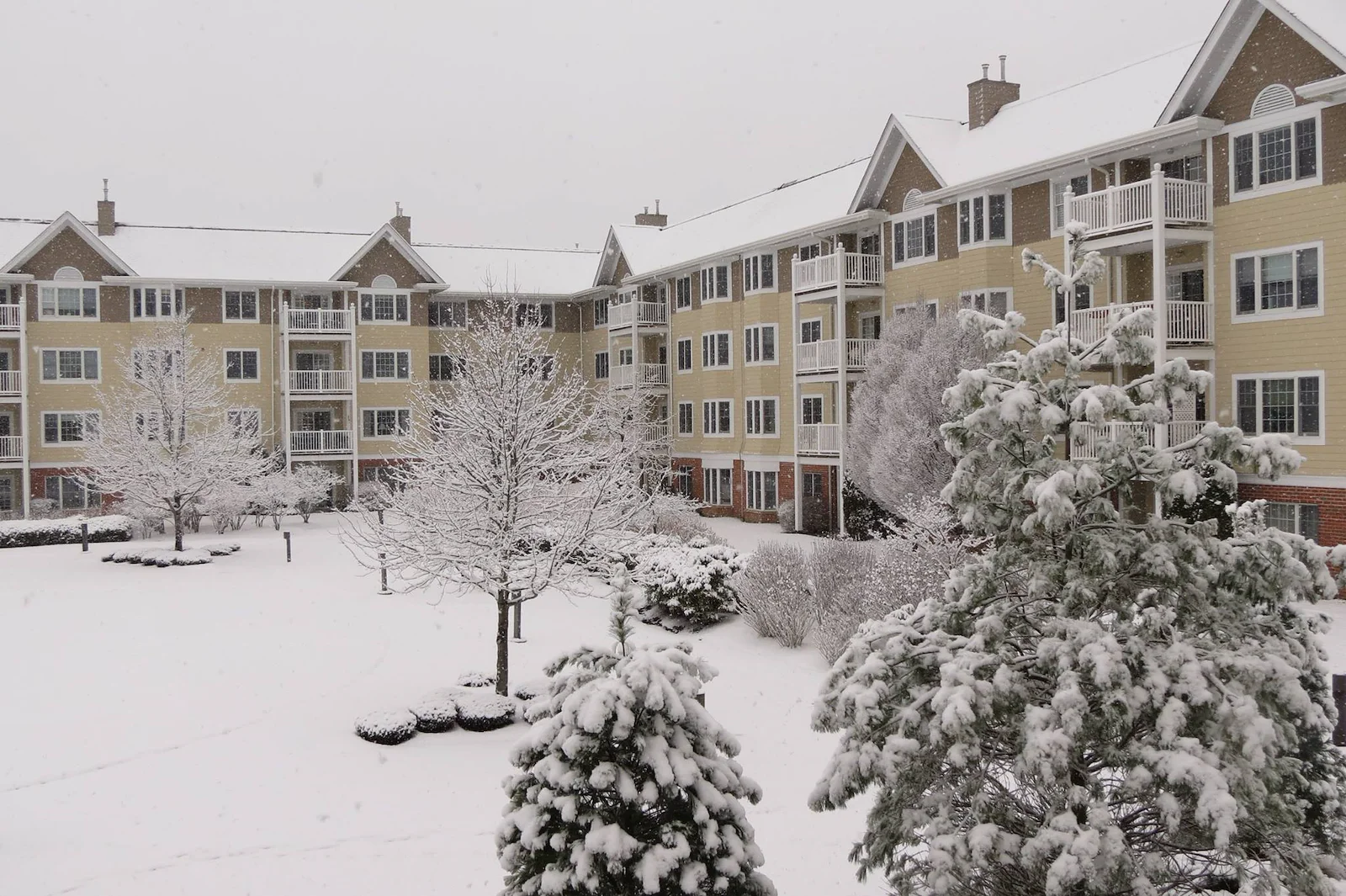 Image of Ridge Crest At Meadow Ridge (1)