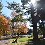 Image of Heath Village Senior Living (6)