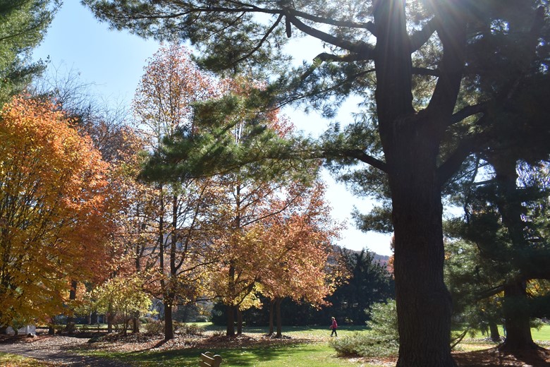 Image of Heath Village Senior Living (6)