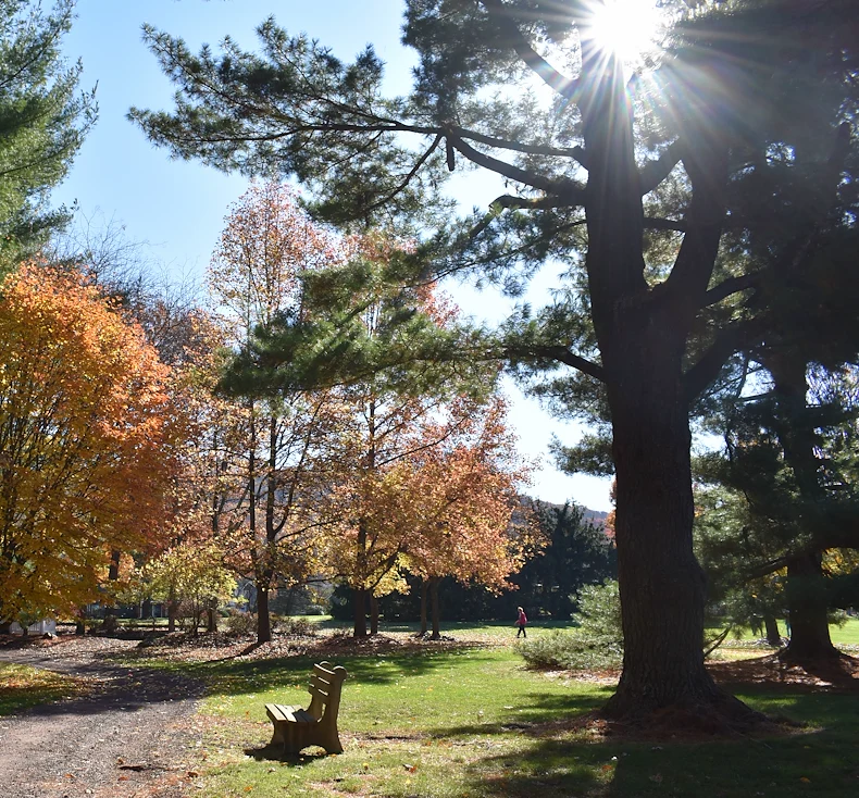 Image of Heath Village Senior Living (6)