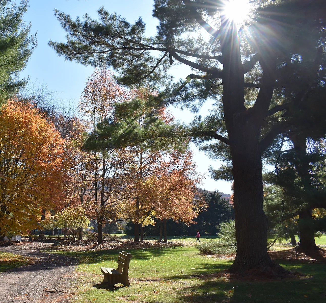 Image of Heath Village Senior Living (6)