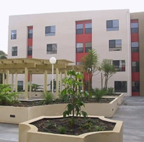 Image of Colonia Jess Lopez (4)