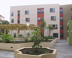Image of Colonia Jess Lopez (4)