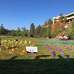 Participants in the WALK with the Alzheimer's Association only block away from our community in the Old Mill district.