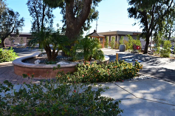 Image of The Olive Branch (3)