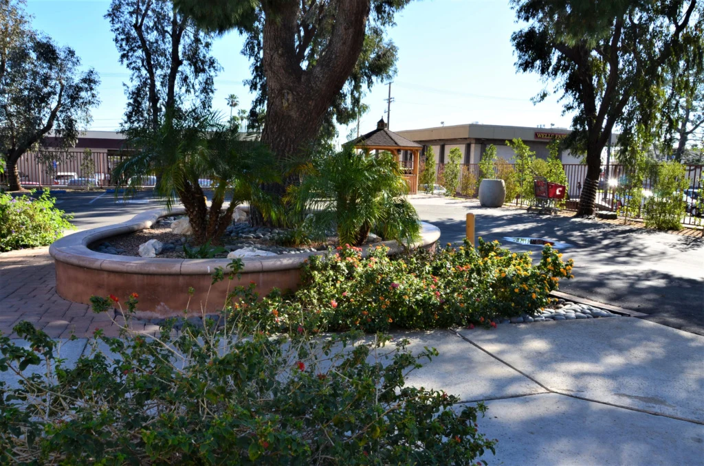 Image of The Olive Branch (3)