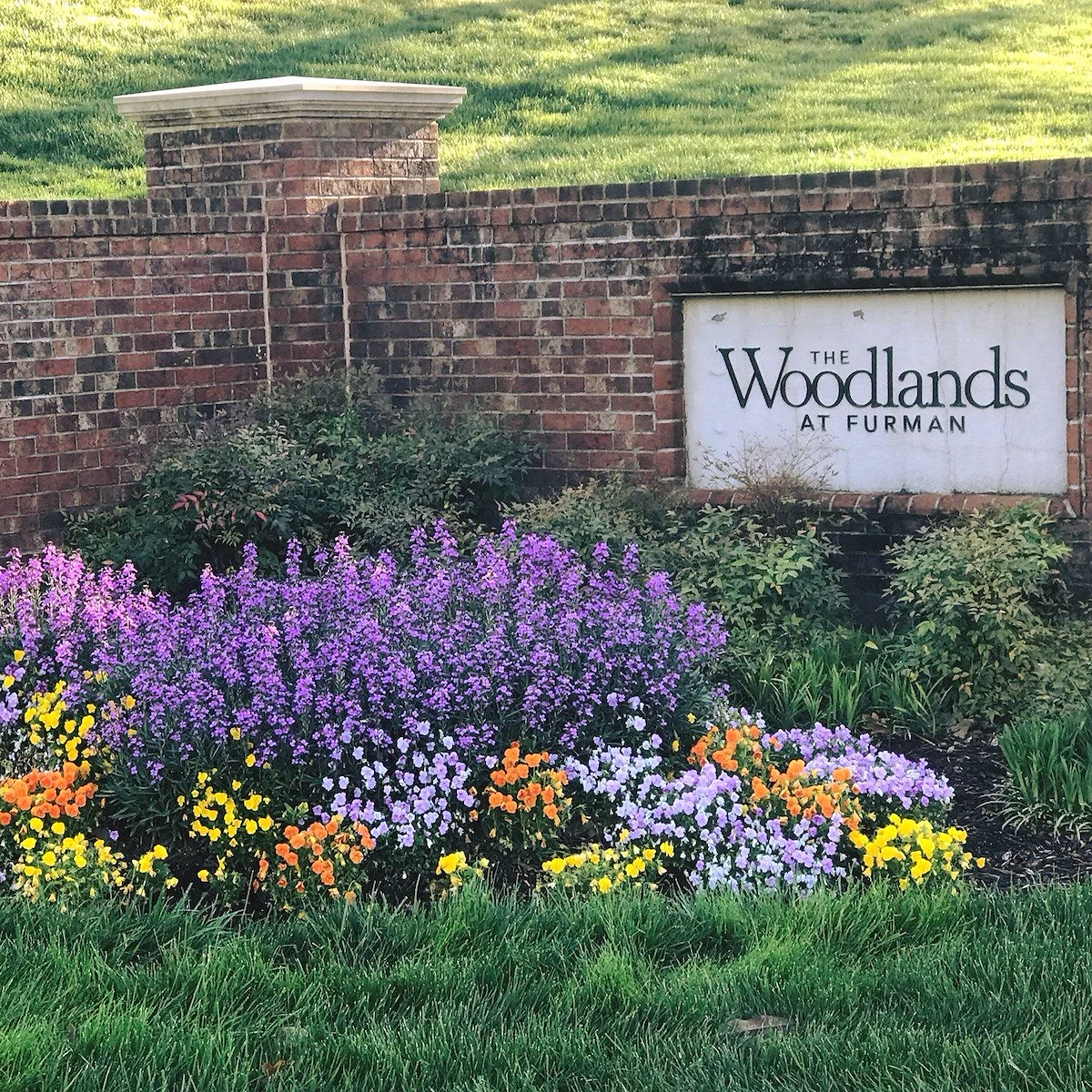 Image of The Woodlands at Furman (1)