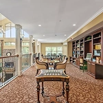 Image of Rain Forest Landings (6)