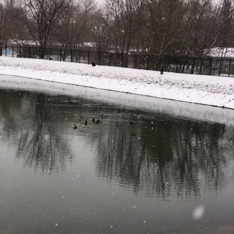 Image of Sunny View Care Center (2)