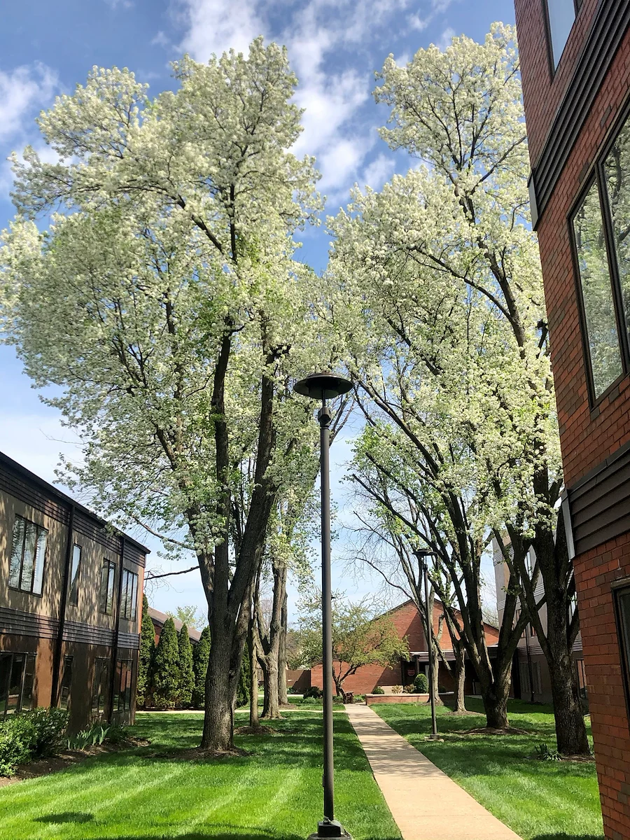 Image of Westerwood Senior Living (2)