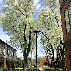 Image of Westerwood Senior Living (2)