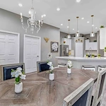 Image of Silver Leaf Frisco (2)