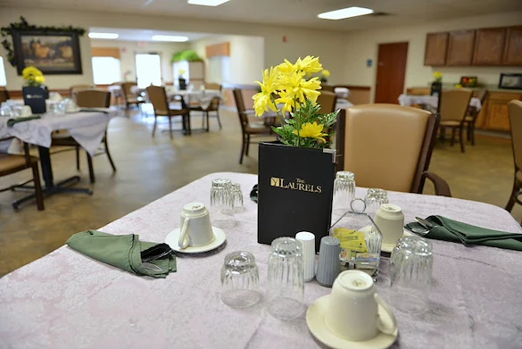 Image of Laurels Of Defiance (7)