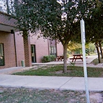 Image of Mission Palms (2)