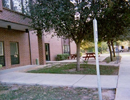 Image of Mission Palms (2)