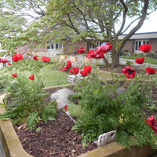 Image of Ingleside Manor (3)