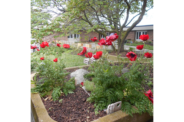 Image of Ingleside Manor (3)