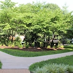 Image of St. Elizabeth Hall (3)