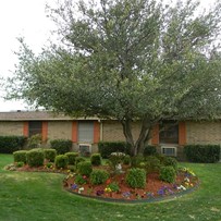Image of Mesquite Tree Nursing Center (3)