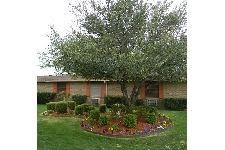 Image of Mesquite Tree Nursing Center (3)