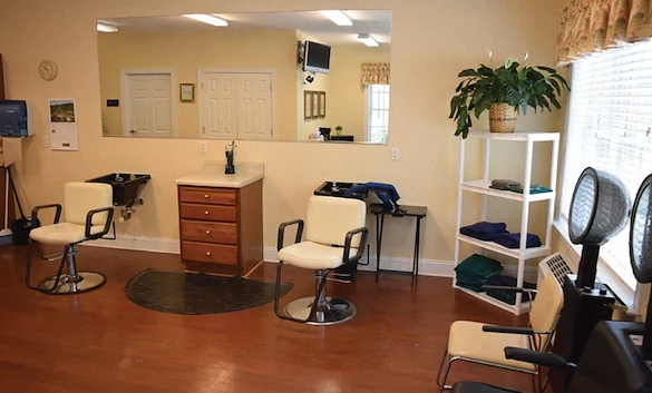 Image of Spring Arbor of Williamsburg (5)