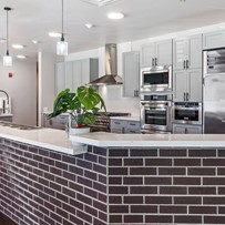 Image of BeeHive Homes of Spring (3)