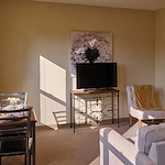 Image of Silver Birch of Hammond (10)